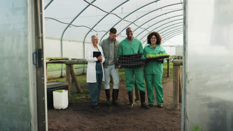 agriculture, teamwork and greenhouse with people