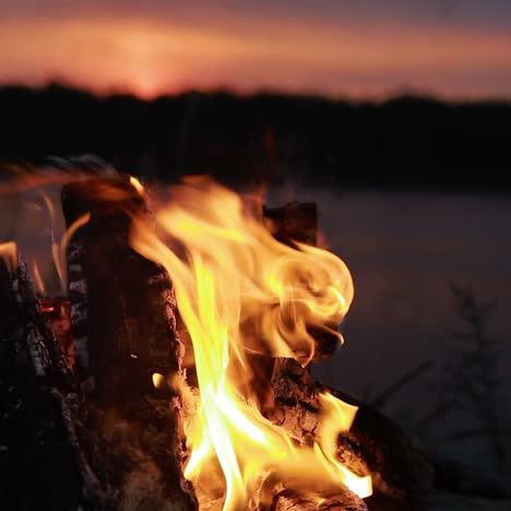 big night bonfire on the riverbank. red hot flame of campfire in the evening