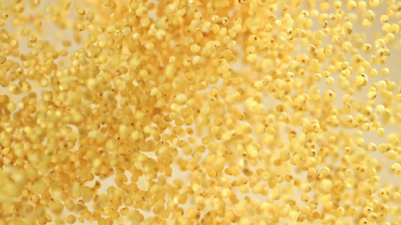 Chicchi di miglio dorati che cadono al rallentatore