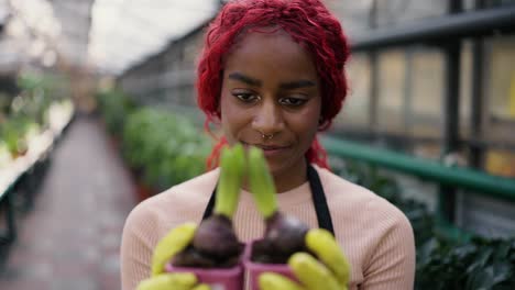 multiethnic woman florist holding plants in greenhouse