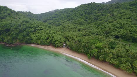 dron volando lejos de una casa solitaria rodeada de agua y árboles