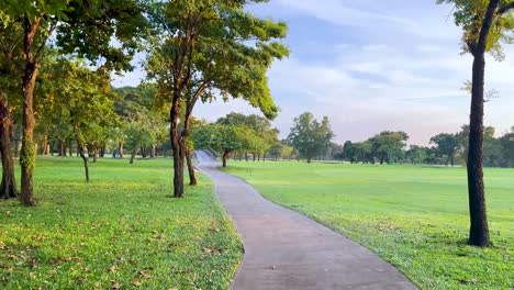 serene walkway through lush green park scenery