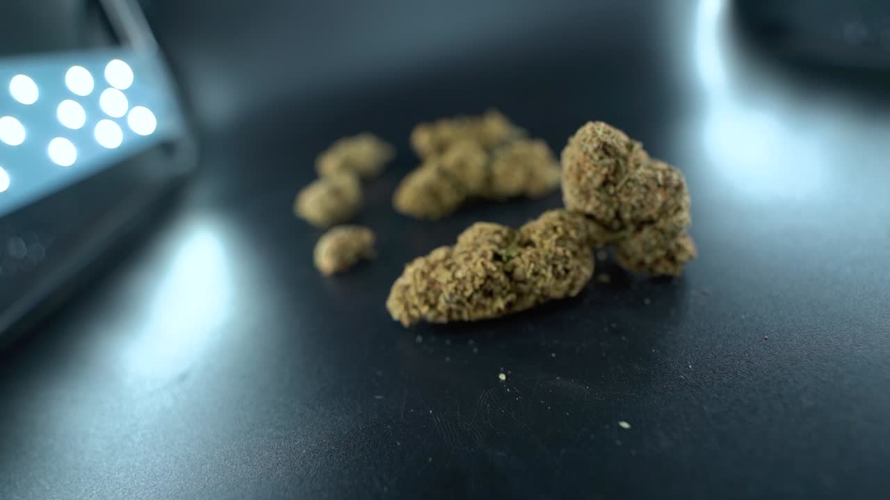 A close up detailed crane flying forwards shot of a cannabis plant, marijuana flower hybrid strains, Indica and sativa, 120 fps slow motion Full HD, cinematic studio lighting, LED lights