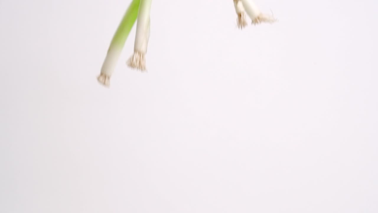 슬로우 모션으로 흰색 배경에 비가 내리는 전체 녹색 양파