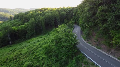 aerial view of a car passing by on a road at a forest during summer