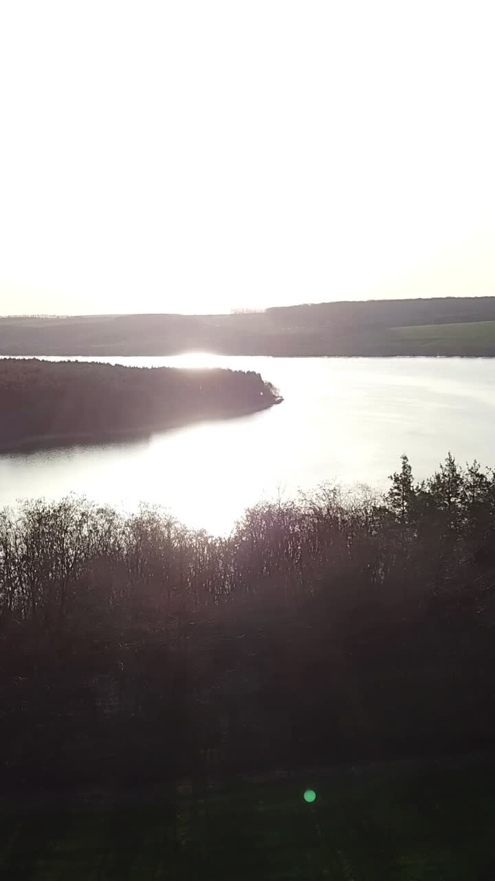 view of the forest on the background of a quiet river at sunset in the summer. Aerial view Vertical video