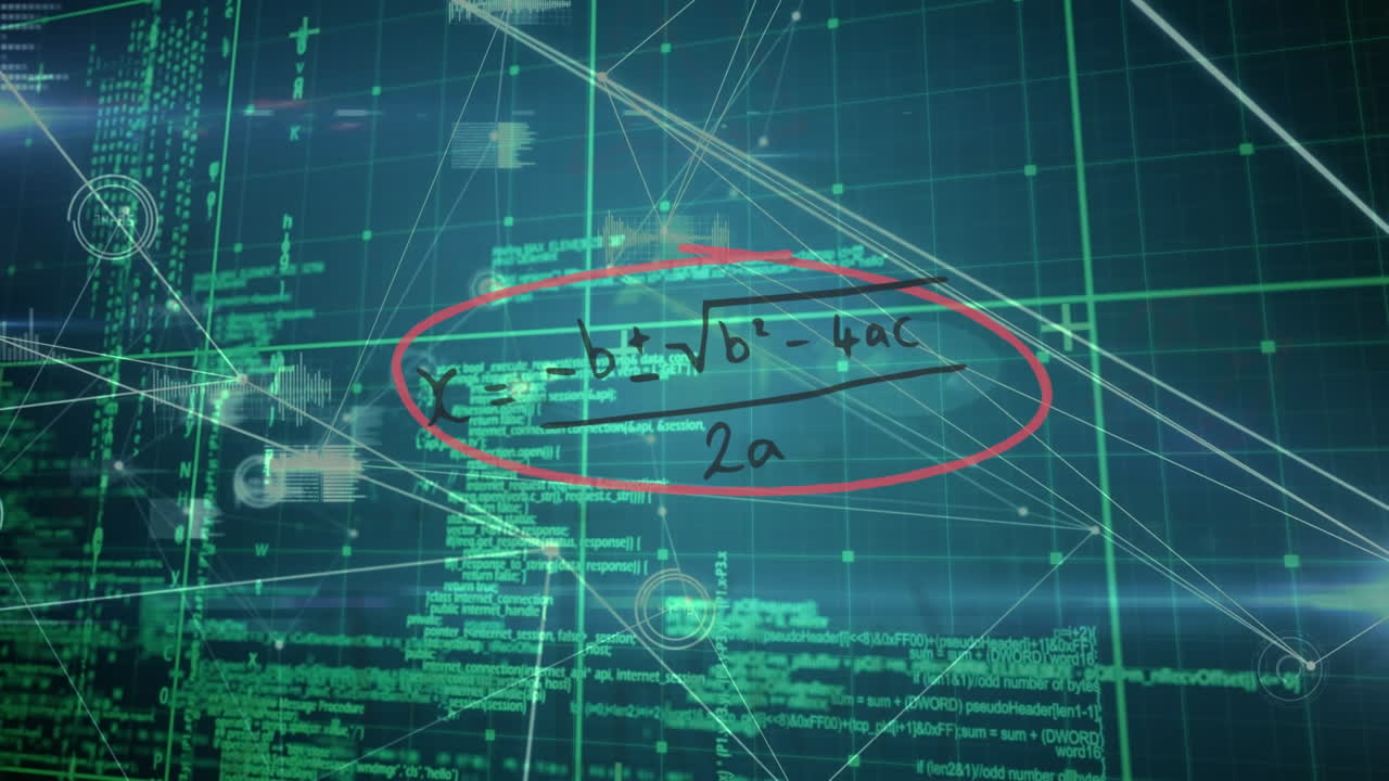 연결 네트워크의 활성화와 데이터 처리