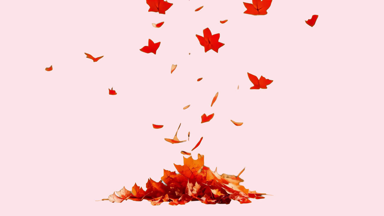 Falling autumn leaves animated overlay, transparent 4K video, alpha channel, ProRes 4444