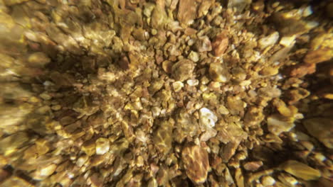 rocks at the bottom of a fresh water stream in pretty sunlight