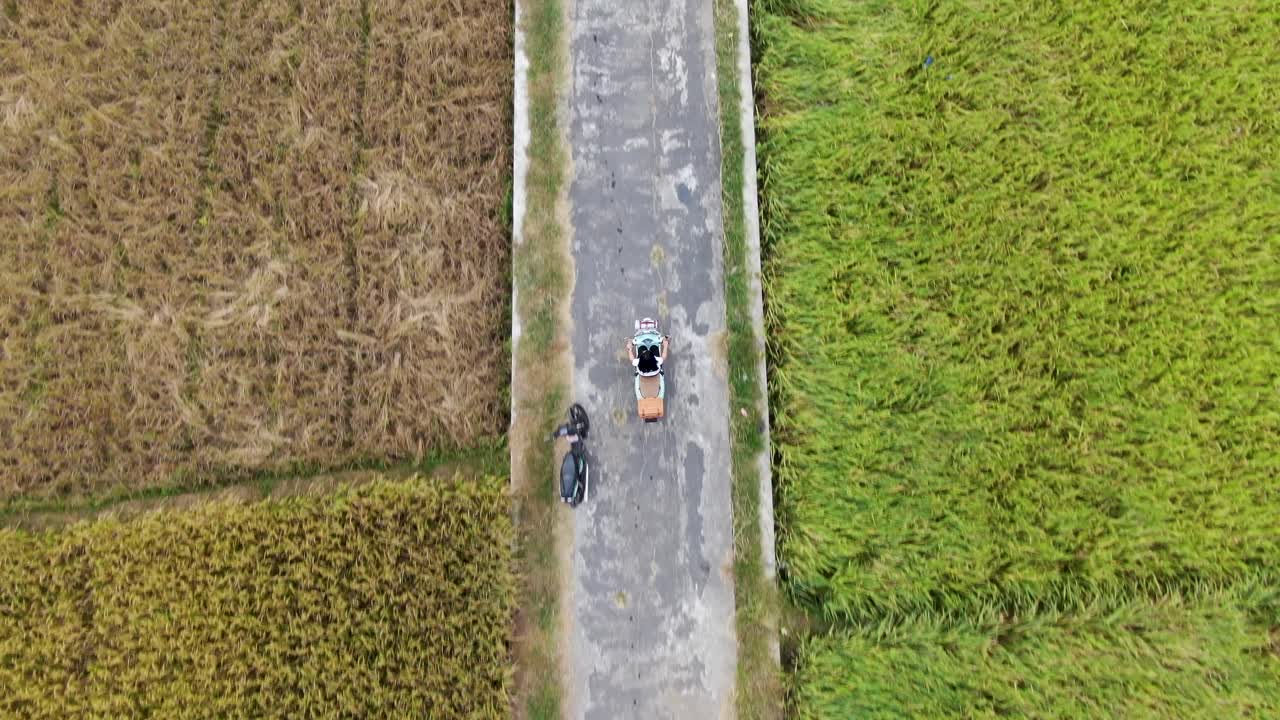 vista aérea de arriba hacia abajo sobre una mujer sin casco conduciendo vespa en un camino rural entre campos de arroz, yogyakarta en indonesia