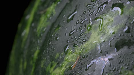 Gota-De-Agua-Deslizándose-Por-La-Sandía-Verde