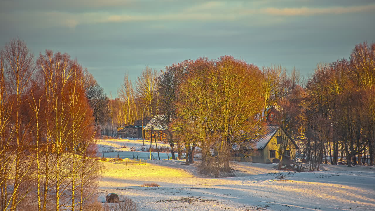 заснеженный лес с деревянным домиком на земле