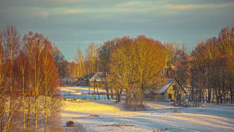 snowy forest with a wooden cabin on the ground