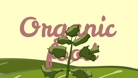 Animation-of-organic-food-text-over-plant