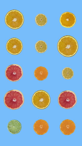 pattern of animated citrus fruits in vertical