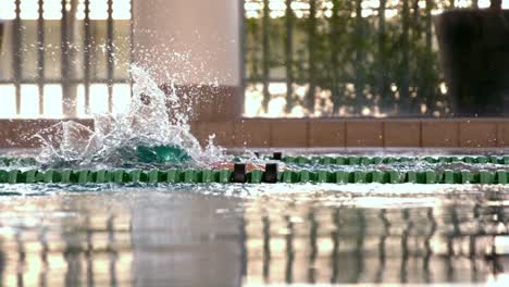 fit swimmer doing the front stroke in the swimming pool