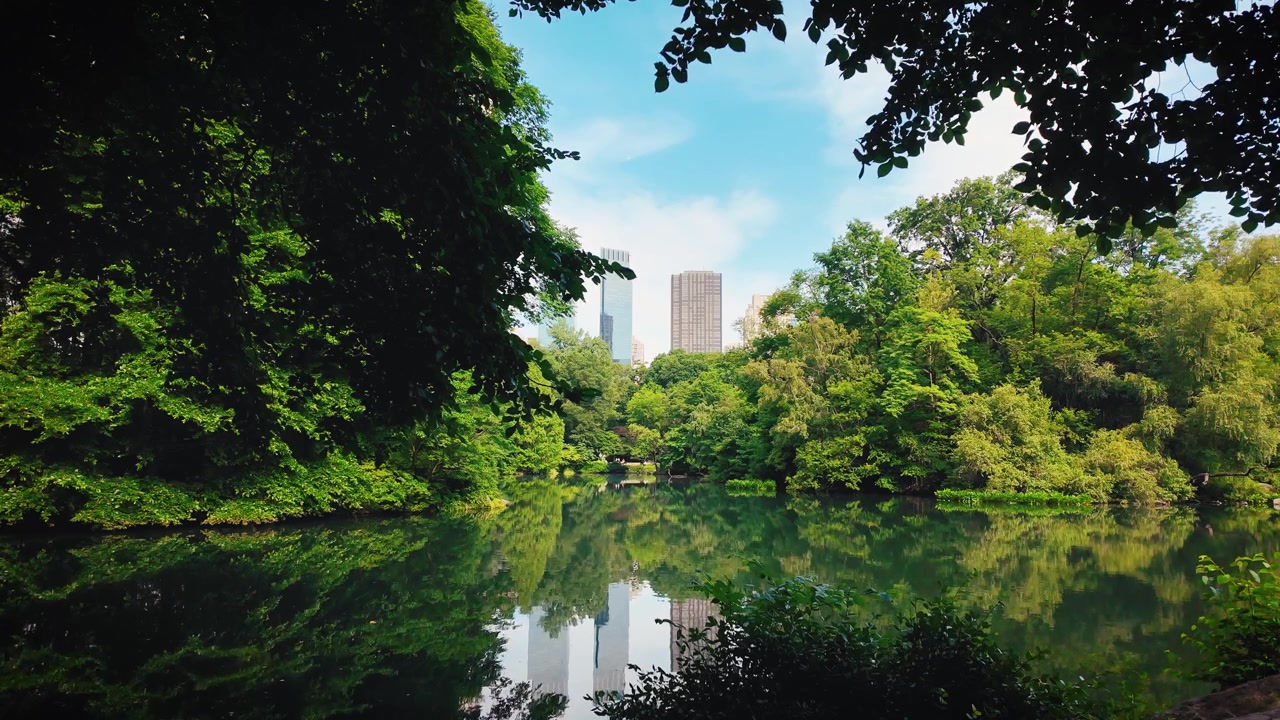 Vista tranquila sobre o Lago do Central Park com árvores verdes exuberantes, reflexos calmos e arranha-céus de Manhattan elevando-se acima do parque em um dia de verão ensolarado.