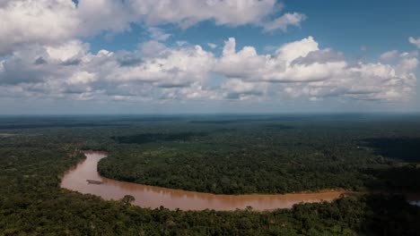 panoramic view of amazon river and rainforest on sunny day