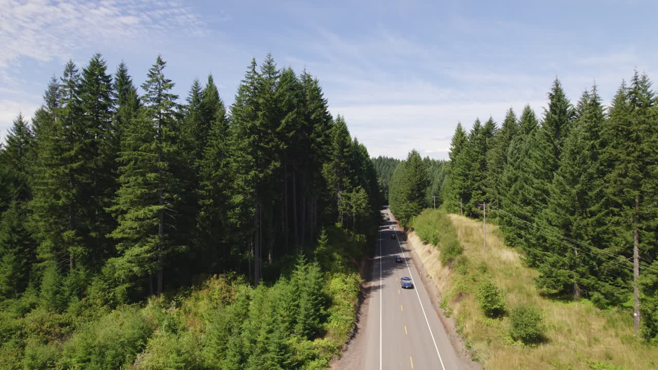 Mesmerizing drone shot overlooking Pacific Northwest highway cars, revealing an expansive sea of evergreen trees stretching to the horizon. Perfect for nature, travel, or adventure scenes.
