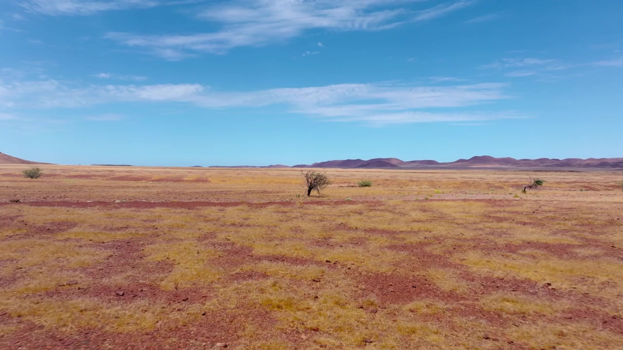 Veduta drone di un canyon secco con vegetazione verde del letto del fiume che si snoda attraverso roccia piegata in Damaraland. Alberi sparsi ed erba secca si estendono attraverso le vaste pianure aride verso distanti montagne a tavolato blu.