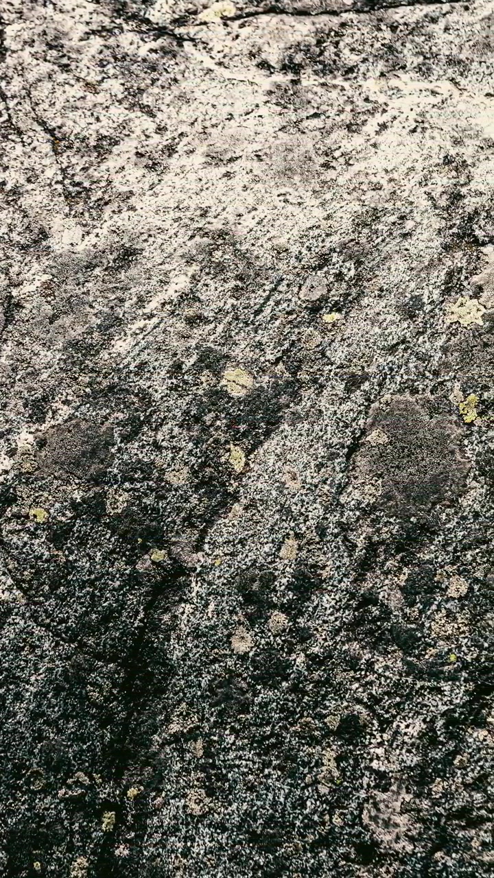 Rough stone texture with lichen pattern