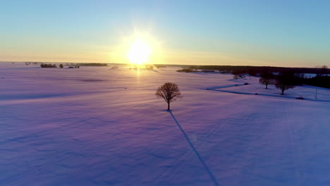 sunrise over a snowy winter wonderland - sun casting a long shadow from a lone tree - aerial scenic view
