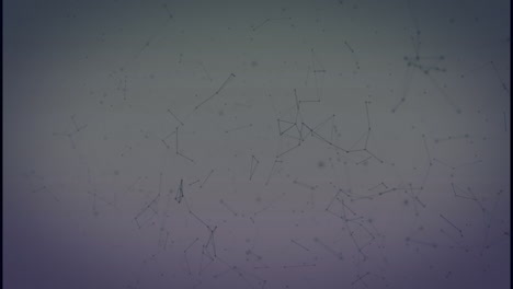 animación de la red de conexiones sobre fondo blanco