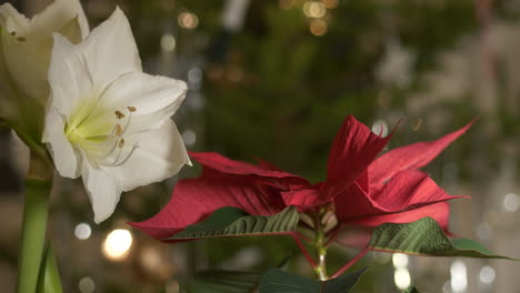 flores de navidad con fondo de árbol de navidad en la sala de estar