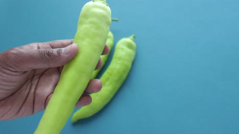 hand holding a fresh green chili pepper