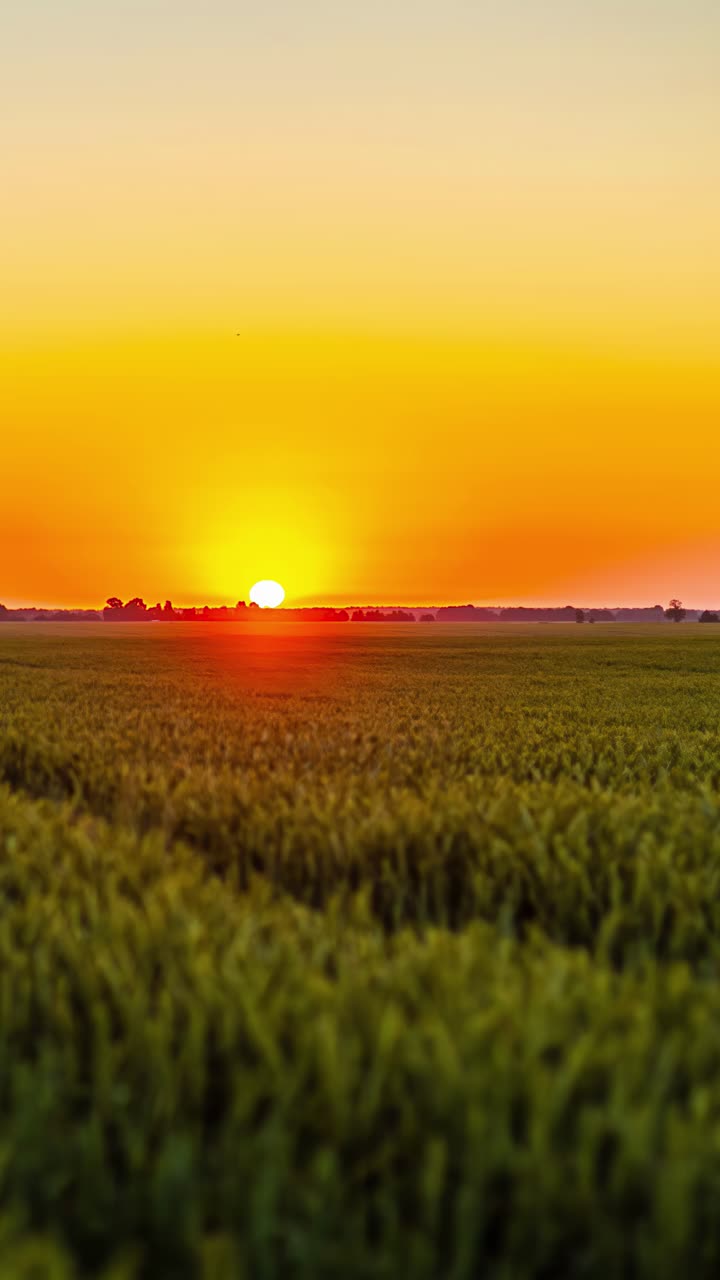 Timelapse shot featuring sunrise captured from a green field. Rural landscape