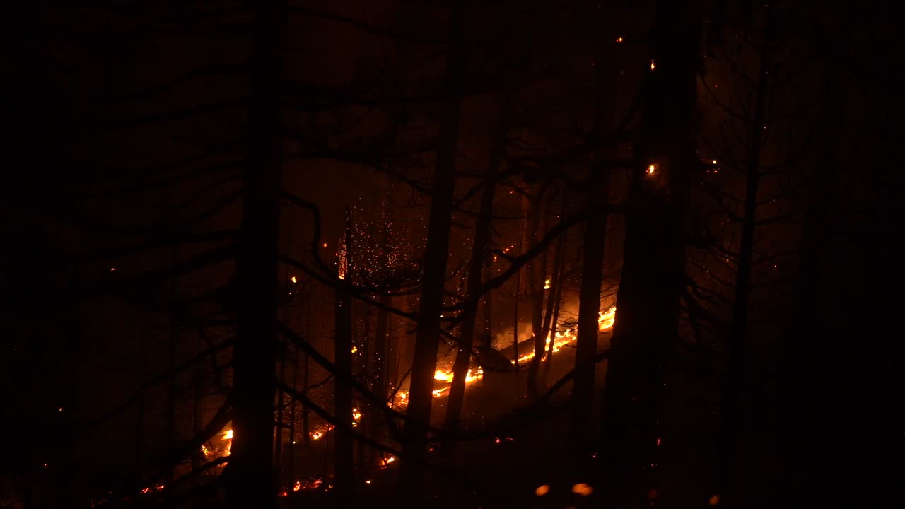 대형 산불 시 불꽃이 튀다