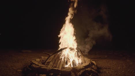 a fogueira queimava brilhantemente na noite.