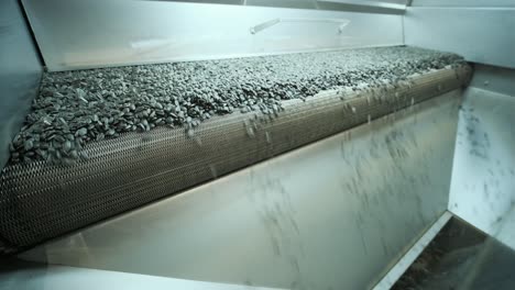 many seeds. sunflower seeds baking machine. moving fried sunflower seeds come out of the machine. food production