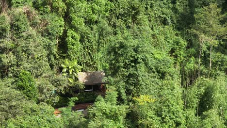 tilting view starting from above rural remote wooden hut in amongst dense thick jungle trees tilting up to tree canopy skyline