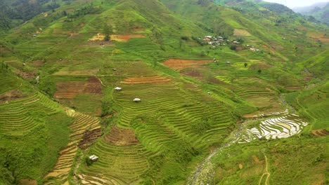 enorme valle repleto de exuberantes terrazas de arroz verde en el norte de vietnam