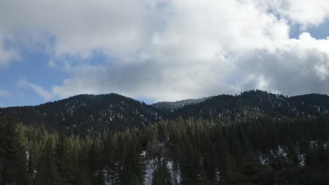 Flying-over-forrest-in-Tehachapi-California-on-a-cloudy-day