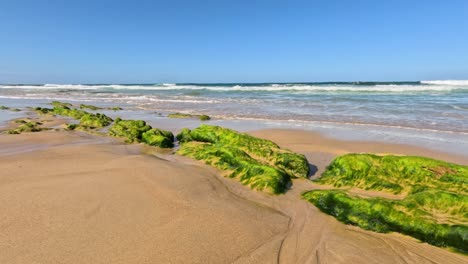 waves hitting seaweed-covered rocks on a sandy beach