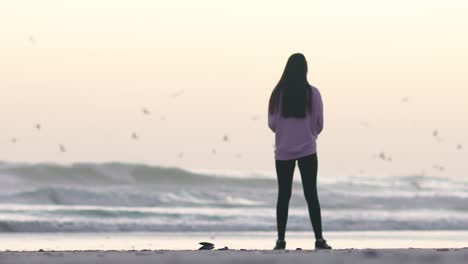 Plano-General-De-Mujeres-De-Pie-En-Una-Playa-Viendo-Gaviotas-Volar-Mientras-Las-Olas-Chocan-En-El-Fondo-En-Cámara-Lenta