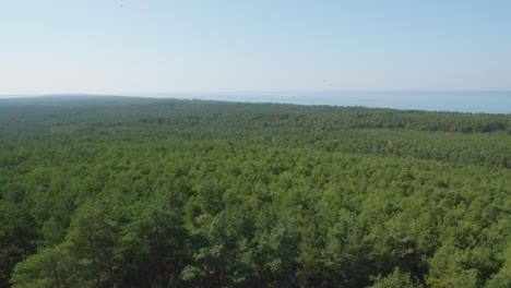 A-panoramic-view-from-the-top-of-the-Stilo-lighthouse,-overlooking-the-lush-green-forest-and-the-Baltic-sea