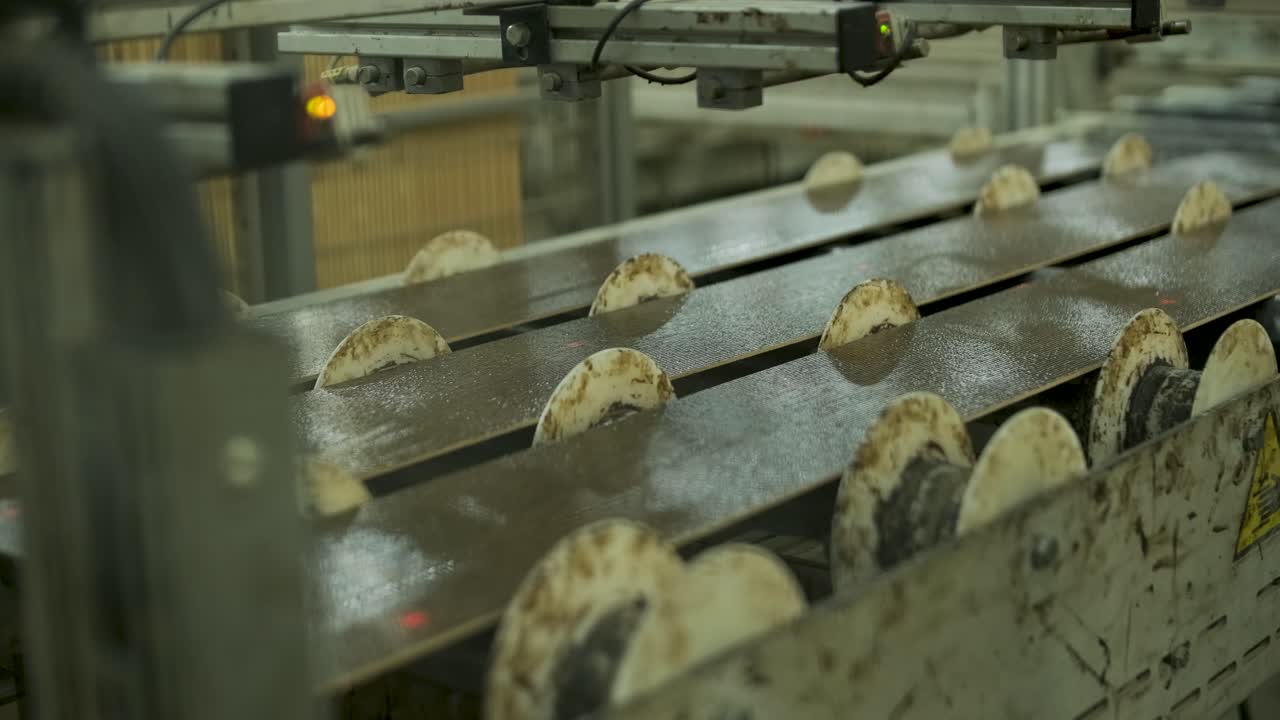 Wooden Planks Moving on Industrial Conveyor Belt in Factory