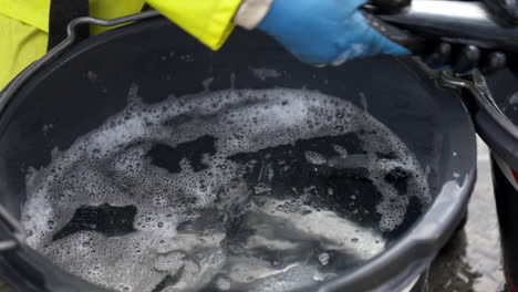 veterinarian on salmon fish farm inspecting fish for signs of parasites on skin