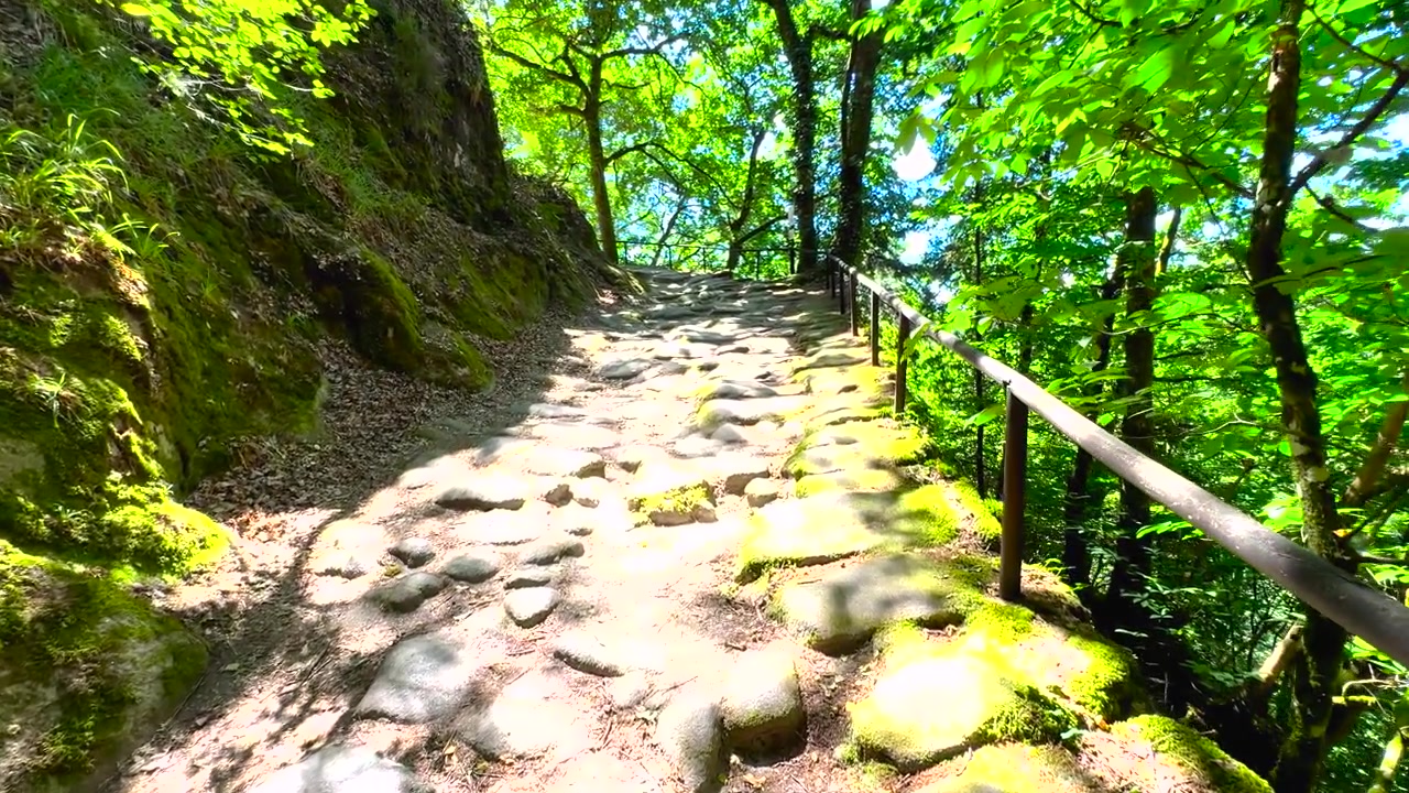 İspanya, Galiçya, Ourense, Esgos'taki San Pedro de Rocas'ta orman içinden geçen taş yol