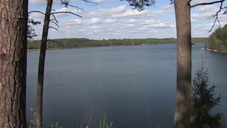 pines on a hill and an island in the lake