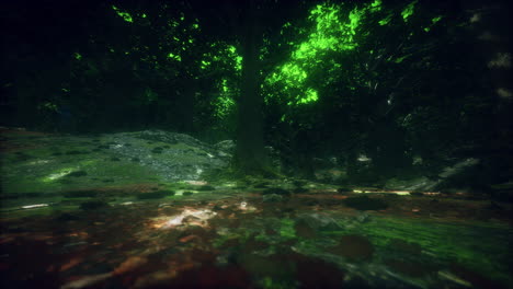 raíces de árboles y sol en un bosque verde
