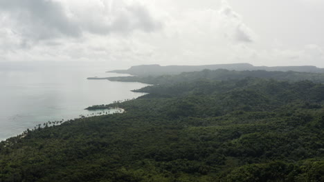 AERIAL---Palm-tree-jungle,-Playa-Rincon-beach,-Dominican-Republic,-truck-left-reverse