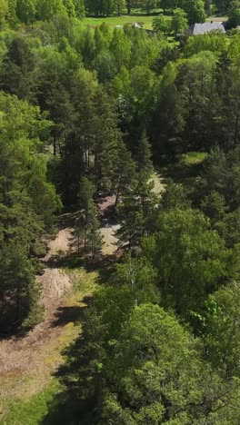 lush trees and green forest in latvia, with a house visible in the distance, aerial view