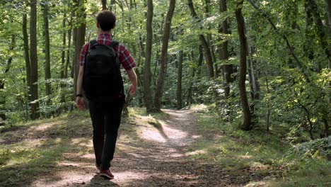 Rückansicht-Eines-Einzelnen-Kaukasischen-Mannes,-Der-An-Einem-Sonnigen-Tag-Mit-Schwarzem-Rucksack-Im-Wald-Wandert