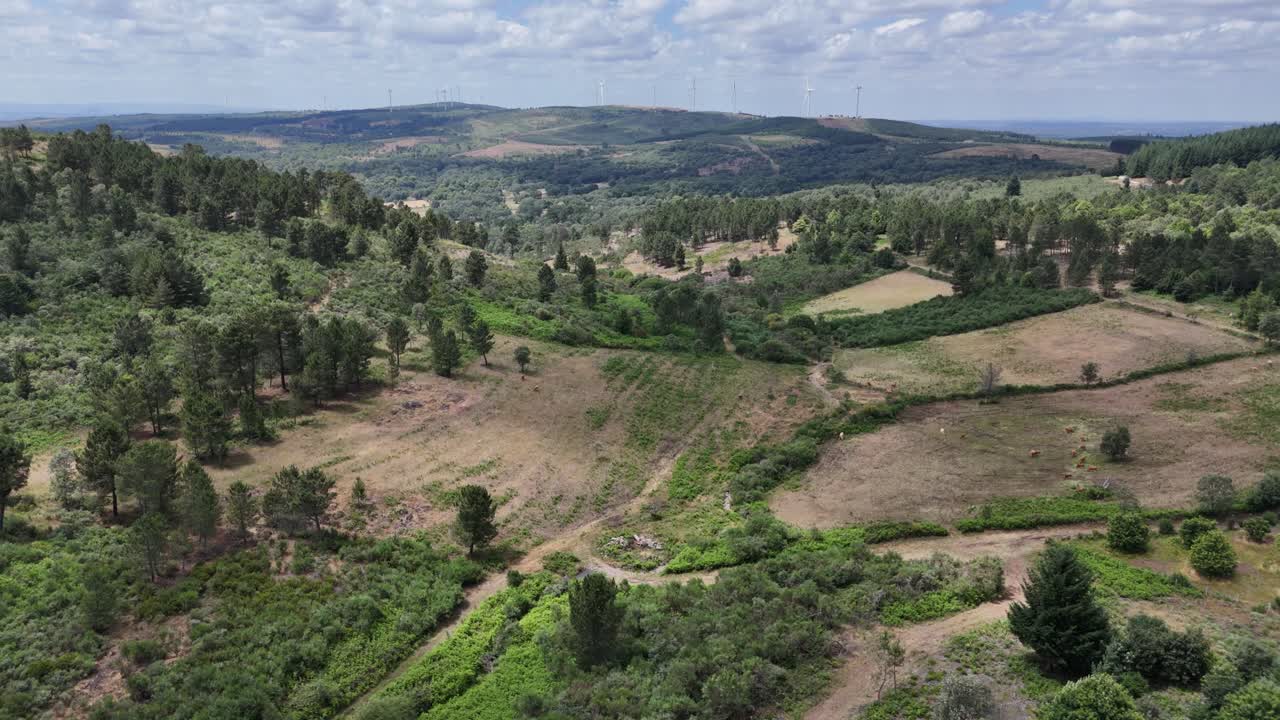 Agrofarming landscape in central Portugal