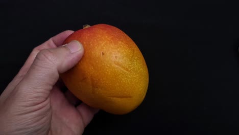 video 4k de una fruta de mango.