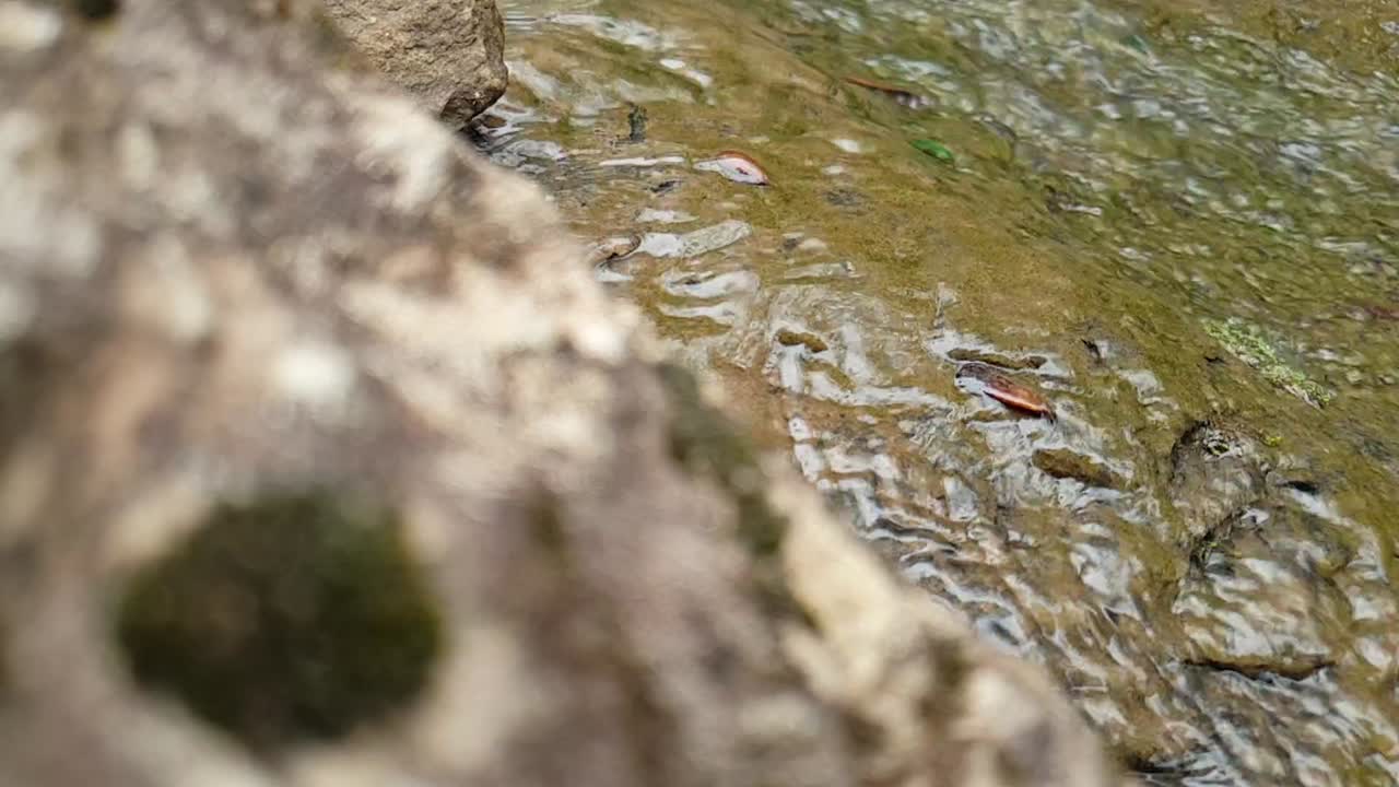 거대한 사암 석판 아래로 흐르는 산의 샘물, 맑은 식수, 명상 고요하고 평화로운 야외 자연 장면 영상